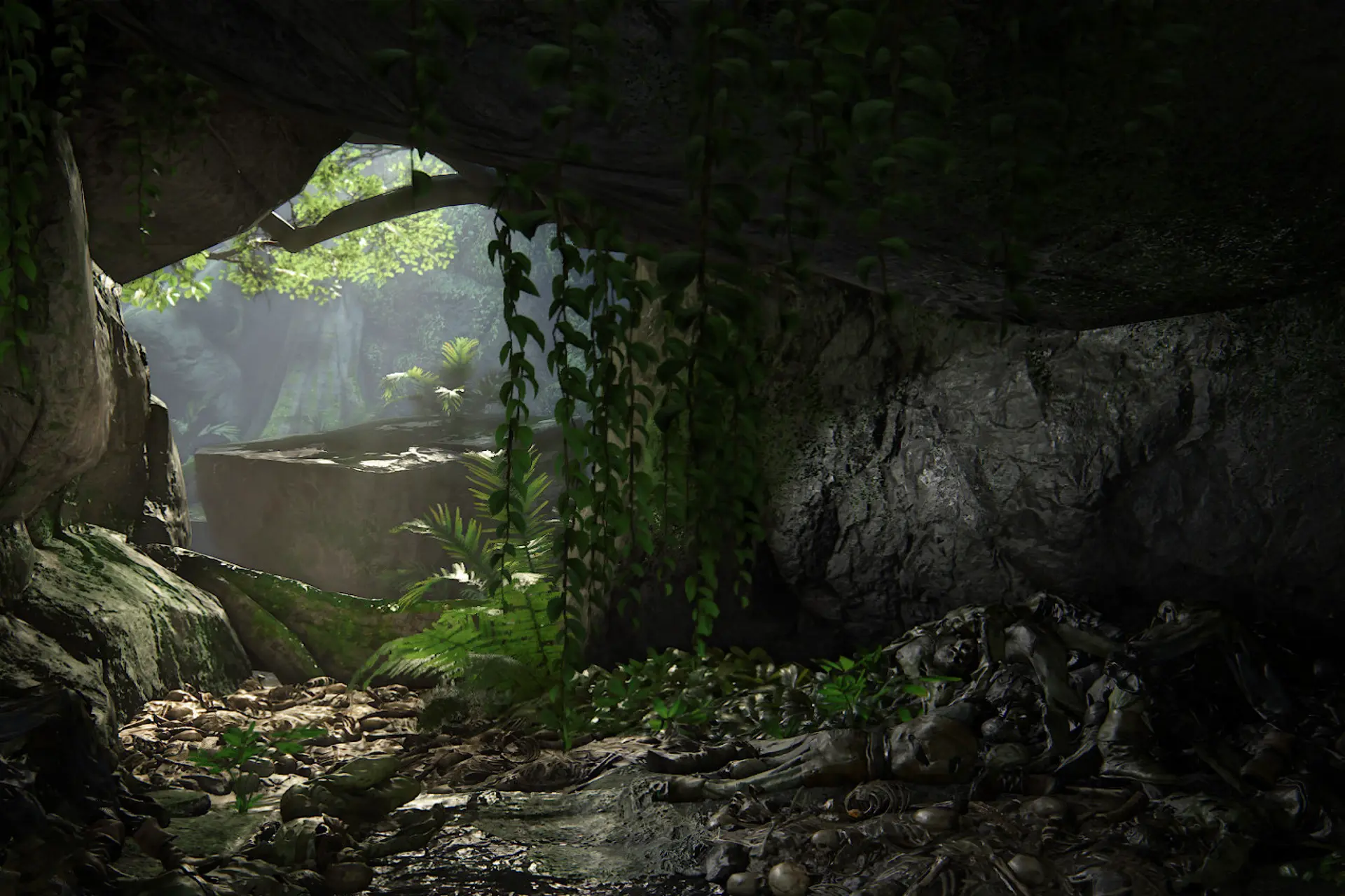 Background